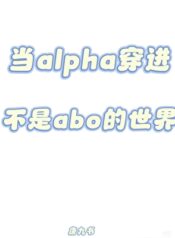 20251023083035_300_420